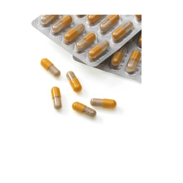 Mivolis Ginkgo Mémoire + Concentration